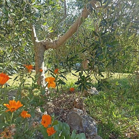 La Mandriana Villa Massa Marittima Kültér fotó