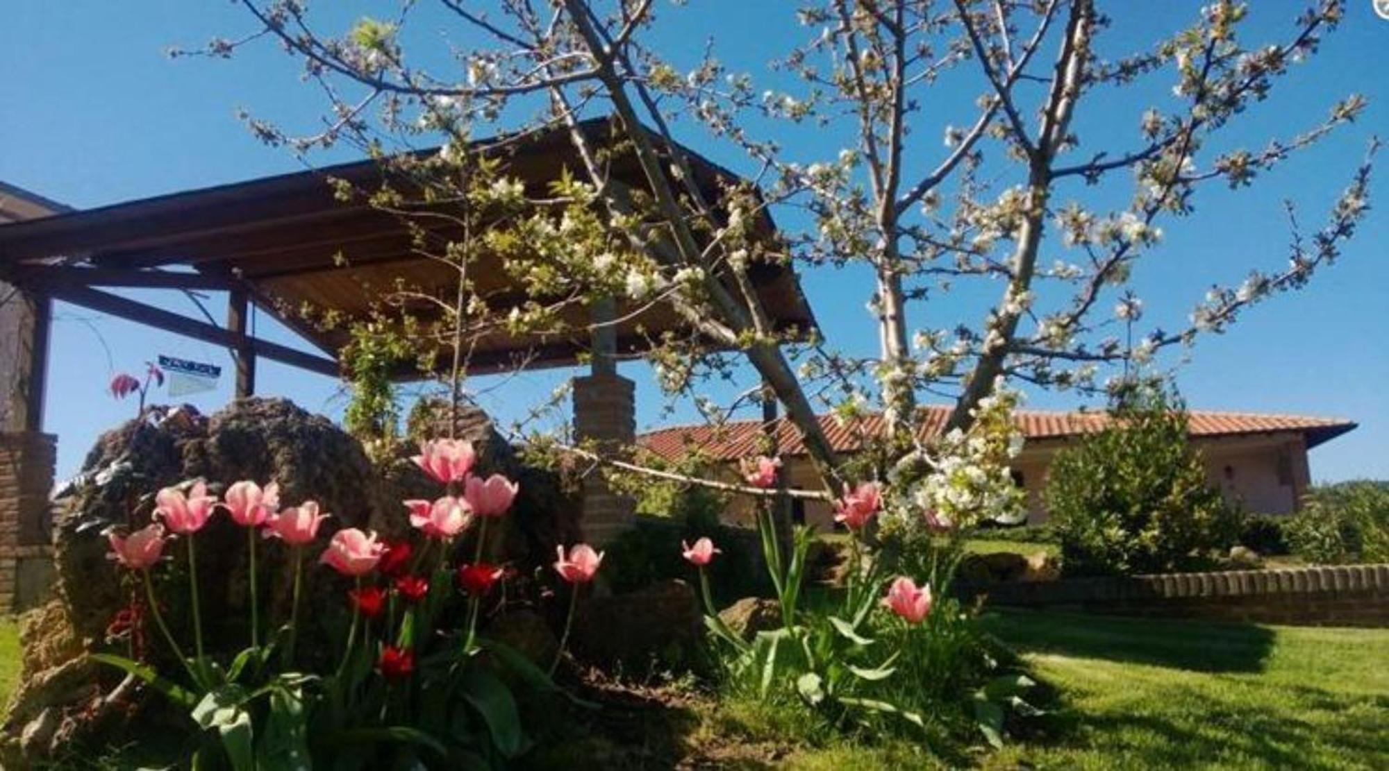 La Mandriana Villa Massa Marittima Kültér fotó
