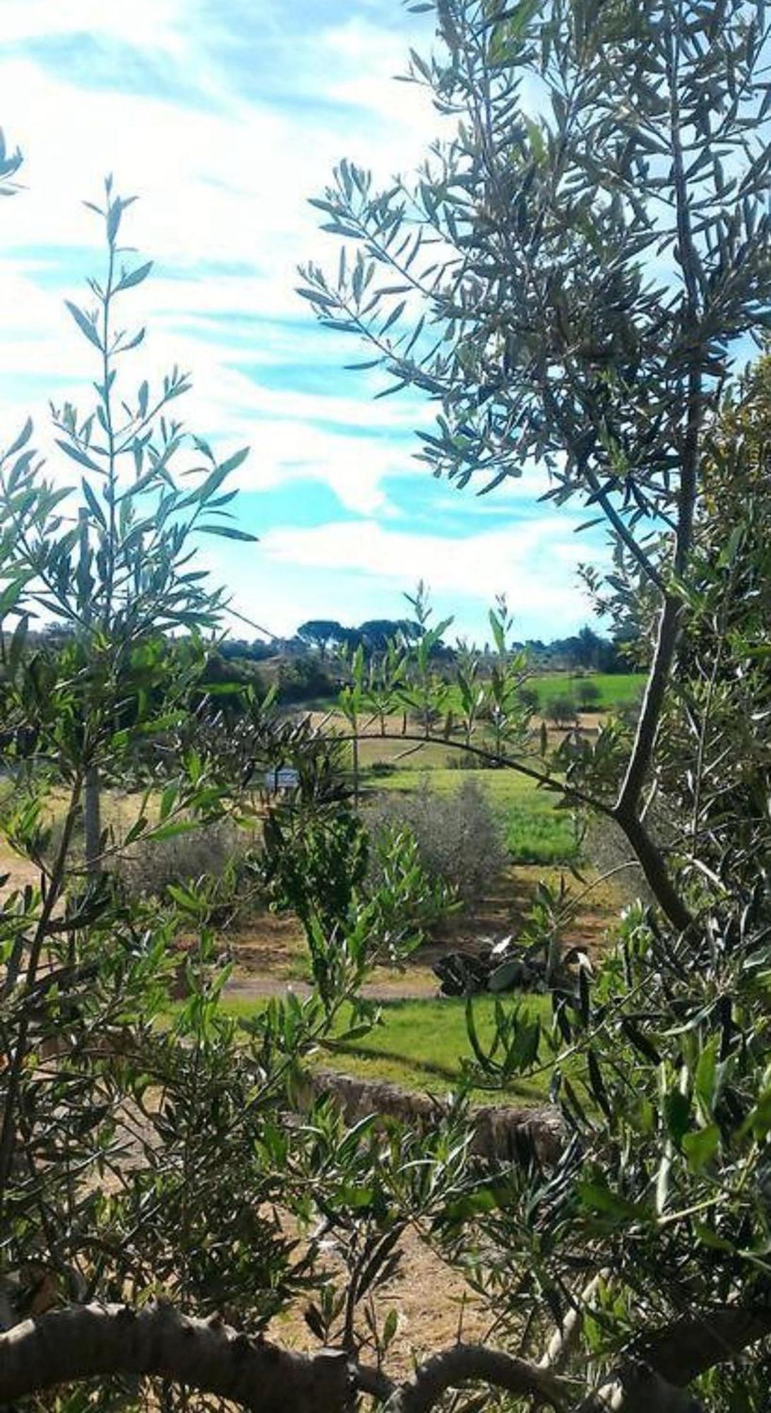 La Mandriana Villa Massa Marittima Kültér fotó